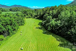 0 Cane Creek Rd, Rutherfordton, NC 28139 - Photo 1