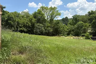 00 Painter St, Canton, NC 28716 - Photo 1