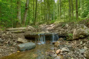 000 Shadowwood Dr, Spruce Pine, NC 28777 - Photo 1