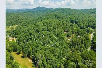 5 Roy Lane, Black Mountain, NC 28711 - Photo 1
