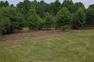000 Mariposa Rd, Stanley, NC 28164 - Photo 1