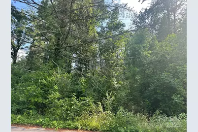 Lot 133 Brandon Road, Hendersonville, NC 28739 - Photo 1