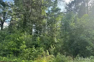 Lot 133 Brandon Rd, Hendersonville, NC 28739 - Photo 1