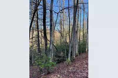 000 Old Ccc Road, Hendersonville, NC 28739 - Photo 1