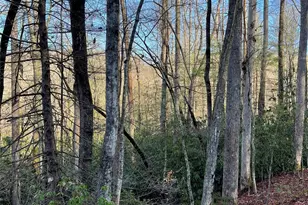 000 Old Ccc Rd, Hendersonville, NC 28739 - Photo 1