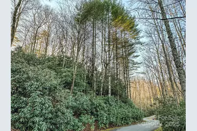 D17 Caroline Lane, Pisgah Forest, NC 28768 - Photo 1