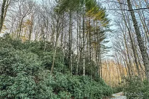 D17 Caroline Ln, Pisgah Forest, NC 28768 - Photo 1