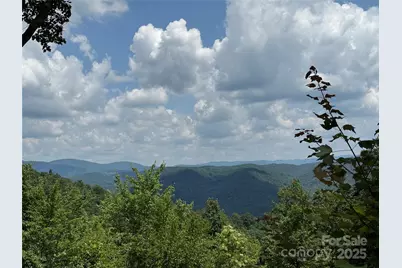 337 Lucas Path Drive #69, Purlear, NC 28665 - Photo 1