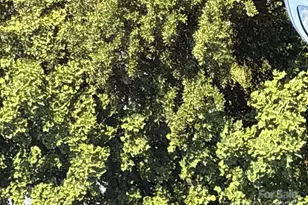 00 Summit Ridge Ln, Denver, NC 28037 - Photo 1