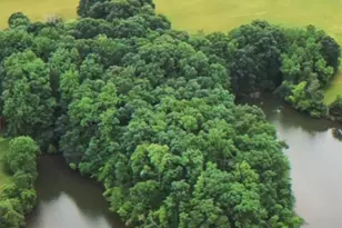 119 Rosebank Dr, Shelby, NC 28150 - Photo 1