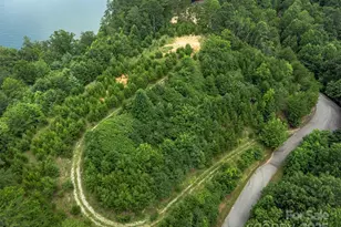 99999 Peninsula Dr, Nebo, NC 28761 - Photo 1