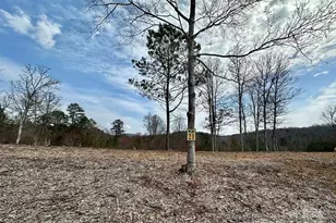 21 Arbor Creek Trail, Mineral Bluff, GA 30559 - Photo 1
