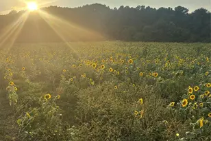 1134 Randall Rd, Shelby, NC 28152 - Photo 1