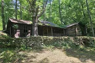 000 Bald Mountain Rd, Burnsville, NC 28714 - Photo 1