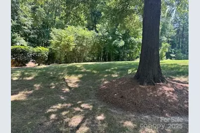 13117 Hamilton Place Drive, Charlotte, NC 28273 - Photo 1