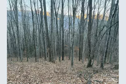 00 Slippery Rock Road #306 & 307, Waynesville, NC 28785 - Photo 1