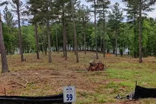 2120 Princeton Mountain None, Connelly Springs, NC 28612 - Photo 1