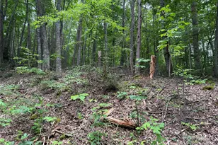 Tbd Red Clover Rd, Beech Mountain, NC 28604 - Photo 1