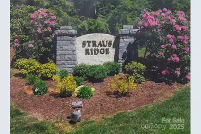 99 Ridgetop Circle, Brevard, NC 28712 - Photo 1