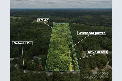 3.7 Ac Debruhl Road, Chester, SC 29706 - Photo 1