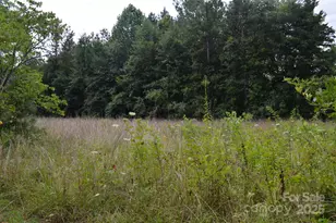 0 Old US 221 Hwy N, Rutherfordton, NC 28139 - Photo 1