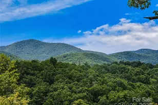 Lot 10 South Hill Dr, Brevard, NC 28712 - Photo 1