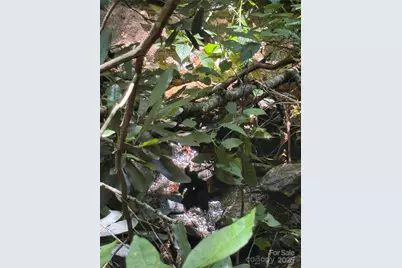 Tbd Little Squirrel Creek Road, Newland, NC 28657 - Photo 1