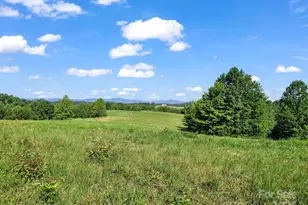 0 Ring Farm Dr, Rutherfordton, NC 28139 - Photo 1