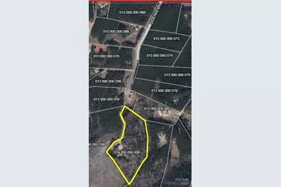 000 Scenic Lane, Pageland, SC 29728 - Photo 1