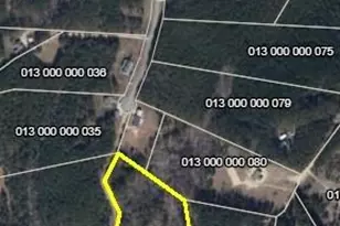 000 Scenic Ln, Pageland, SC 29728 - Photo 1