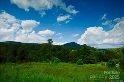 29 Bear Flower Trail #10, Arden, NC 28704 - Photo 1