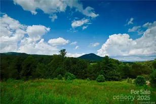 29 Bear Flower Tr, Arden, NC 28704 - Photo 1