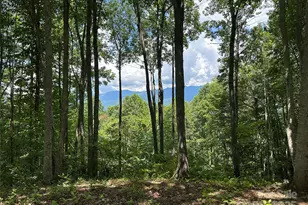 402 High Line Rd, Sylva, NC 28779 - Photo 1