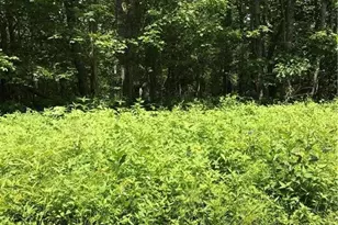 0000 Eagle Roost Rd, Boone, NC 28607 - Photo 1