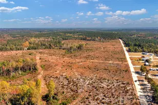 0000 Riley Rd, Chesterfield, SC 29709 - Photo 1