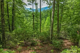 72 Smokey Ridge Trail, Arden, NC 28704 - Photo 1