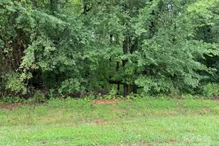 6918 My Lady's Way, Waxhaw, NC 28173 - Photo 1