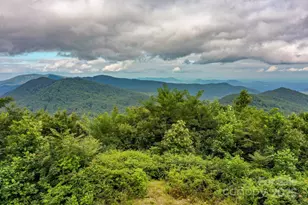 9999 High Cliffs Trail, Black Mountain, NC 28711 - Photo 1