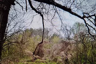 3031 Celia Ave, Charlotte, NC 28216 - Photo 1