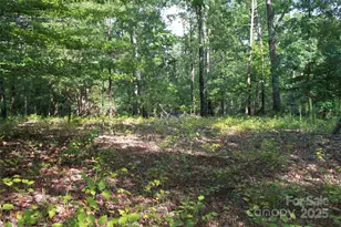 00 Lail Rd, Rutherfordton, NC 28139 - Photo 1