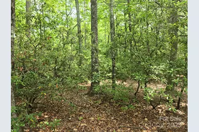 Lot 11 Eagles Crest Way, Lake Lure, NC 28746 - Photo 1