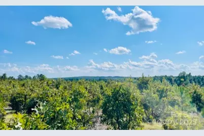 27.5 Ac Tract Gun O Field Road, Wallace, SC 29896 - Photo 1