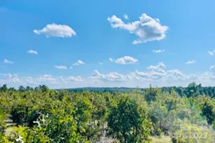 27 5 Ac Tract Gun O Field Rd, Wallace, SC 29896 - Photo 1