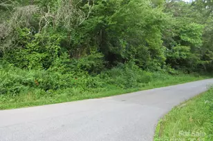 0 Glenn Bridge Rd, Arden, NC 28704 - Photo 1