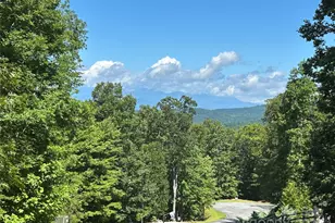 149 Fall Creek Rd, Nebo, NC 28761 - Photo 1