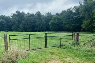 00 Thanny Helms Rd, Peachland, NC 28133 - Photo 1
