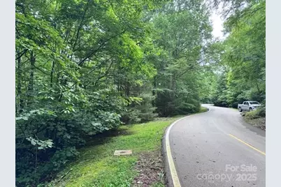 29 Wood Haven Lane #209, Black Mountain, NC 28711 - Photo 1