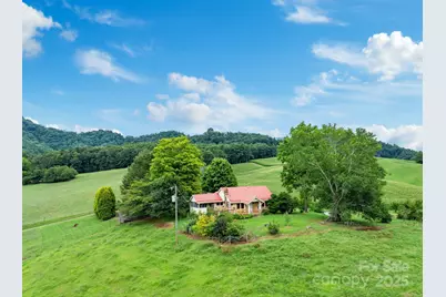 61 Brooks Branch Road, Leicester, NC 28748 - Photo 1