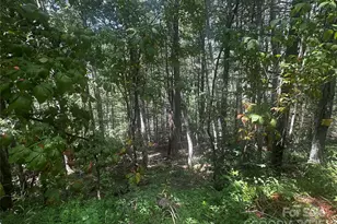 00 Rabbit Hop Rd, Spruce Pine, NC 28777 - Photo 1