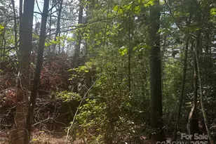 00 Rabbit Hop Rd, Spruce Pine, NC 28777 - Photo 1